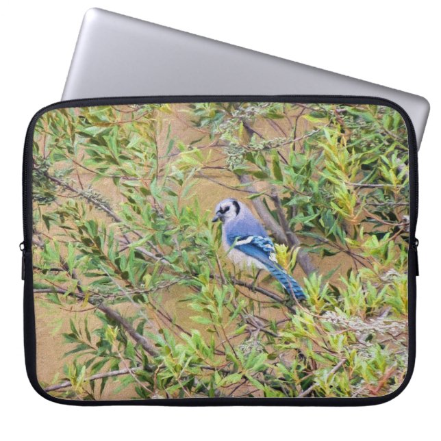 Protection Pour Ordinateur Portable Blue Jay sur Southern Wax Myrtle (Devant)