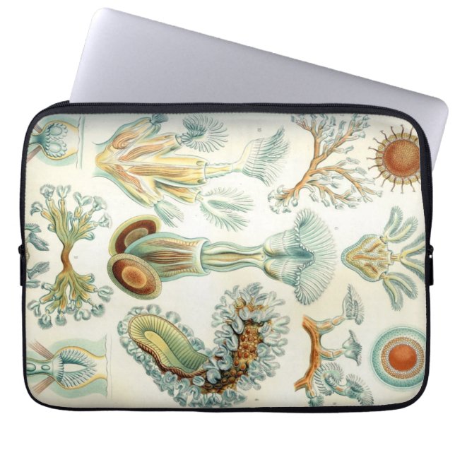 Protection Pour Ordinateur Portable Bryozoaires de Haeckel (Devant)