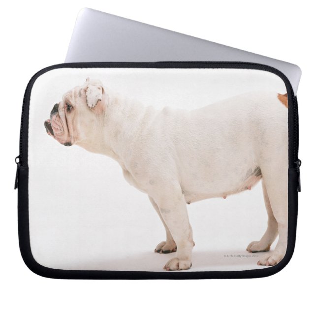 Protection Pour Ordinateur Portable Bulldog (Devant)