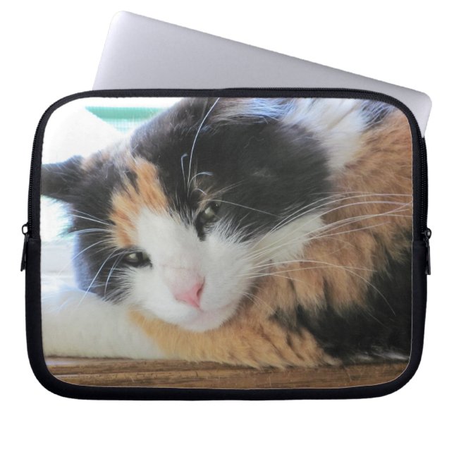 Protection Pour Ordinateur Portable Calicot coquet Kitty (Devant)