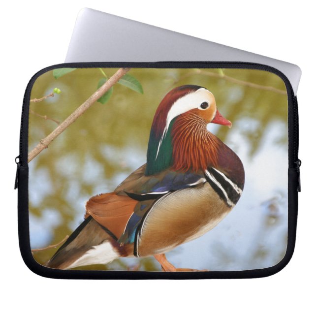 Protection Pour Ordinateur Portable Canard mandarin (Devant)