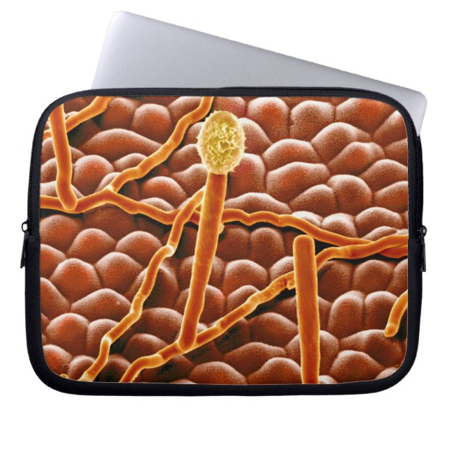 Protection Pour Ordinateur Portable Champignon de rouille pulvérulente sur la (Devant)