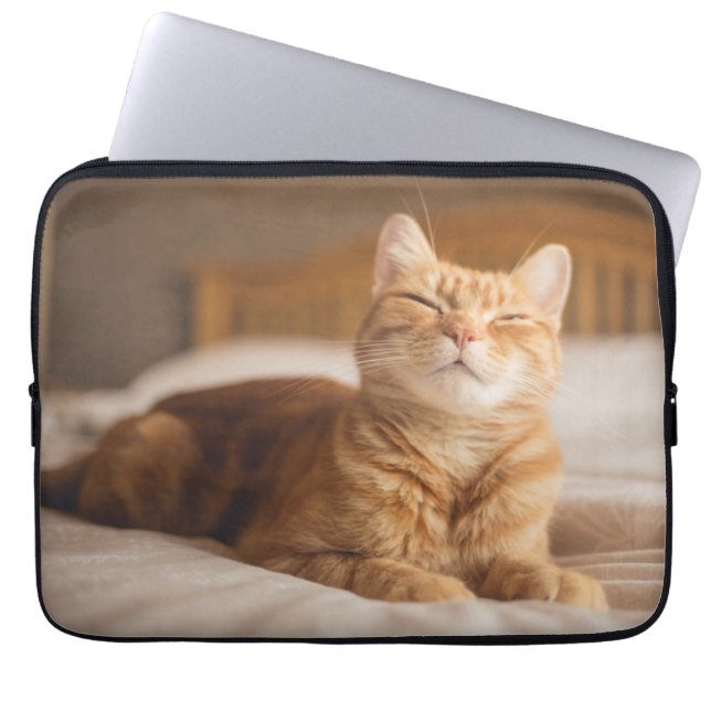 Protection Pour Ordinateur Portable Chat somnolent des images | de Getty (Devant)