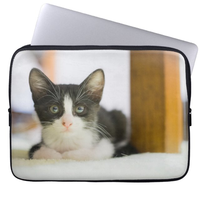 Protection Pour Ordinateur Portable Chaton blanc et noir doux (Devant)