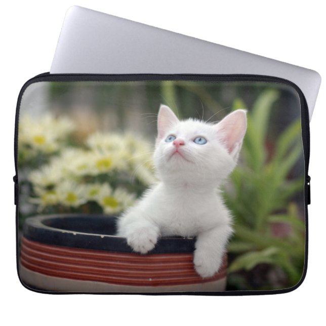 Protection Pour Ordinateur Portable Chaton blanc turc (Devant)