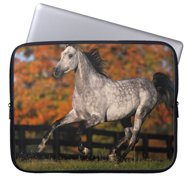 Protection Pour Ordinateur Portable Cheval arabe : Automne 1 (Devant)