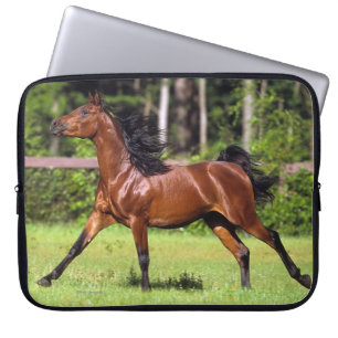 Protection Pour Ordinateur Portable Cheval arabe courant 2