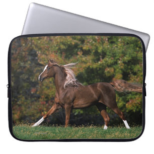 Protection Pour Ordinateur Portable Cheval arabe fonctionnant dans le domaine herbeux