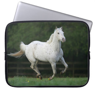 Protection Pour Ordinateur Portable Cheval d'Appaloosa courant 1