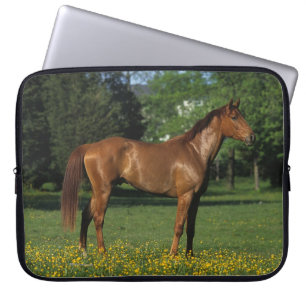 Protection Pour Ordinateur Portable Cheval de pur sang en fleurs
