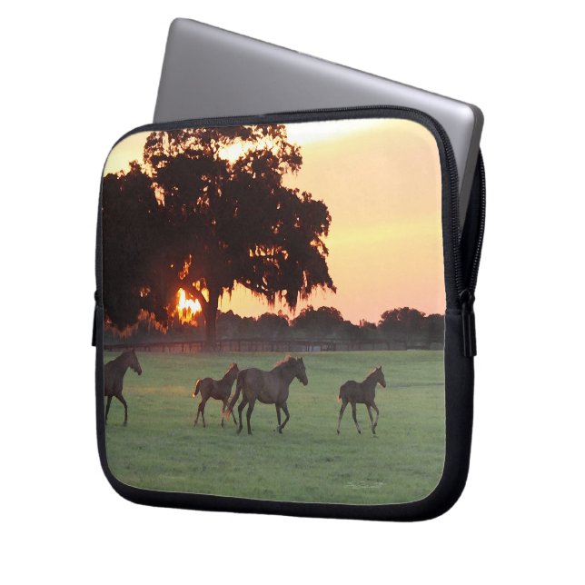 Protection Pour Ordinateur Portable Cheval Sunset Art Portable Sleeve (devant gauche)
