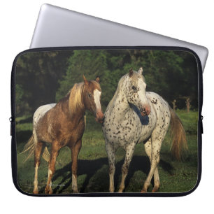 Protection Pour Ordinateur Portable Chevaux d'Appaloosa