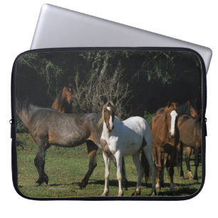 Protection Pour Ordinateur Portable Chevaux sauvages 1 de mustang