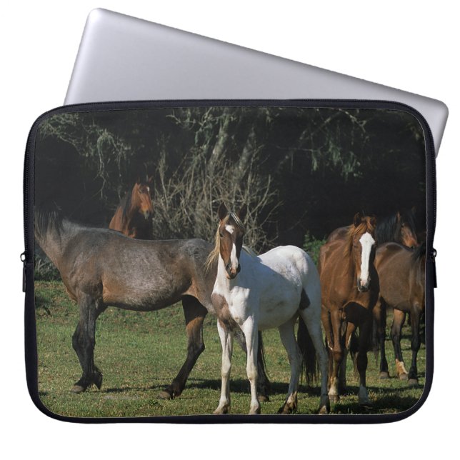 Protection Pour Ordinateur Portable Chevaux sauvages 1 de mustang (Devant)