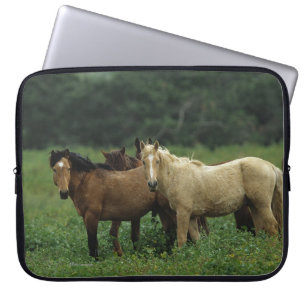 Protection Pour Ordinateur Portable Chevaux sauvages 4 de mustang