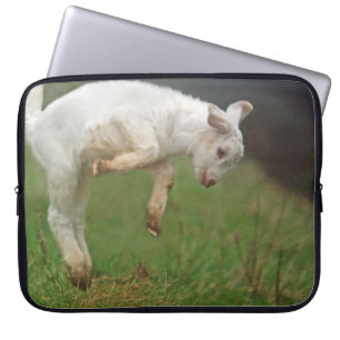 Protection Pour Ordinateur Portable Chèvre blanche de bébé drôle de chèvre sautan