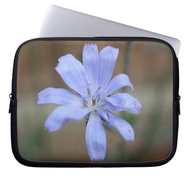 Protection Pour Ordinateur Portable Chicorée (Devant)
