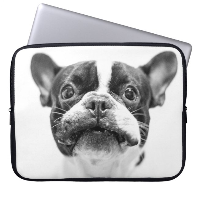 Protection Pour Ordinateur Portable chien (Devant)