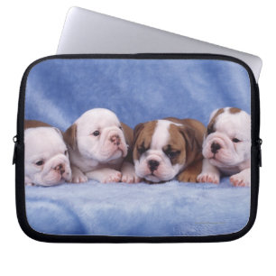 Protection Pour Ordinateur Portable Chiens de taupe