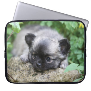 Protection Pour Ordinateur Portable Chiot aux cheveux longs de chiwawa