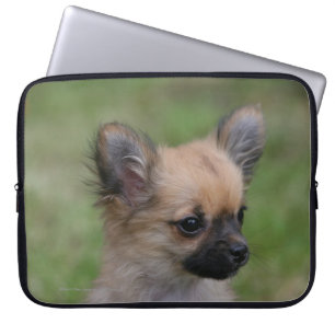 Protection Pour Ordinateur Portable Chiot aux cheveux longs de chiwawa regardant