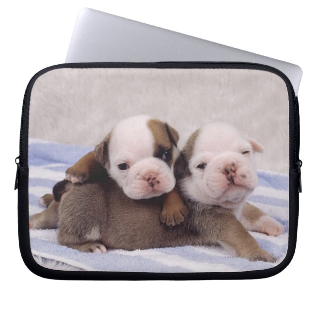 Protection Pour Ordinateur Portable Chiots de bouledogue (Devant)