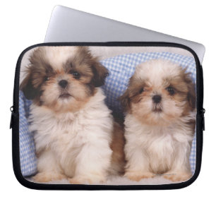 Protection Pour Ordinateur Portable Chiots de Shih Tzu sous une couverture vérifiée