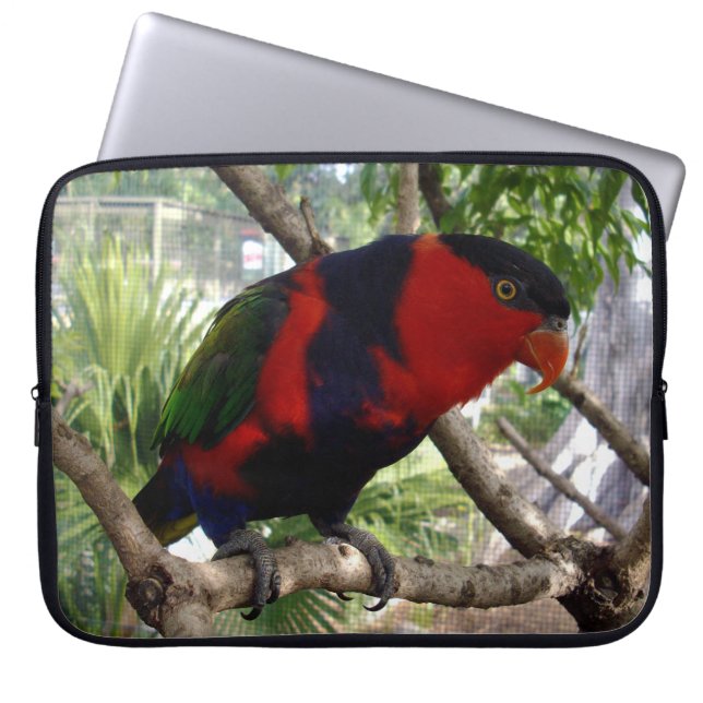 Protection Pour Ordinateur Portable Ciel Cheeky Rainbow Lorikeet, (Devant)