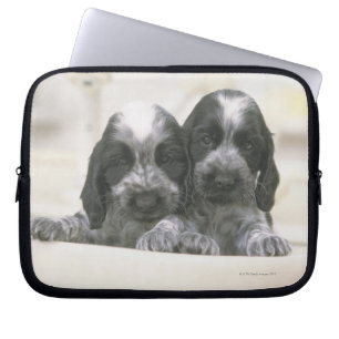 Protection Pour Ordinateur Portable Cocker anglais
