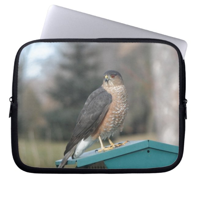Protection Pour Ordinateur Portable Coopers Hawk (Devant)