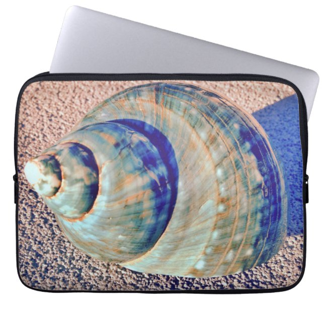 Protection Pour Ordinateur Portable Coquillage de Welk de mer (Devant)