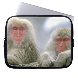 Protection Pour Ordinateur Portable Couple de singes des neiges, Macaque japonais,