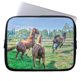 Protection Pour Ordinateur Portable Courir Pinto Peinture Gelding & Stallions châtaign