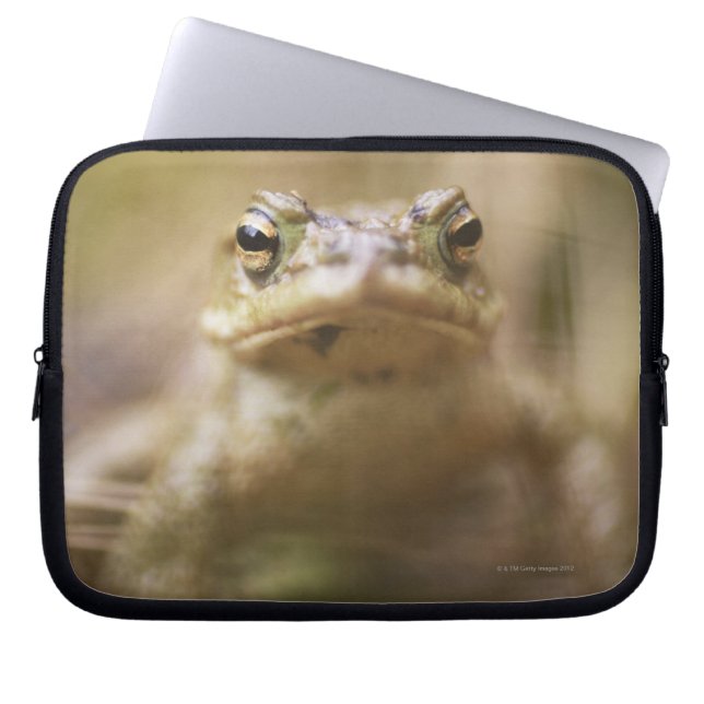 Protection Pour Ordinateur Portable Crapaud du jour (Devant)