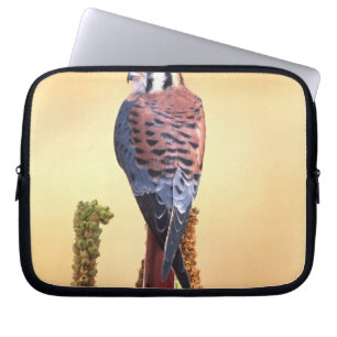 Protection Pour Ordinateur Portable Crécerelle américaine, Falco sparverius, Originair