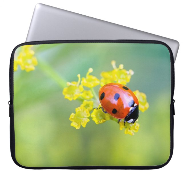 Protection Pour Ordinateur Portable dame sur le dessus (Devant)