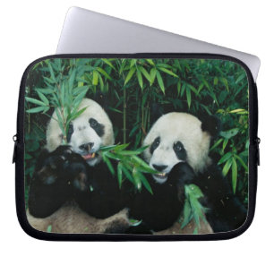 Protection Pour Ordinateur Portable Deux pandas mangeant du bambou ensemble, Wolong