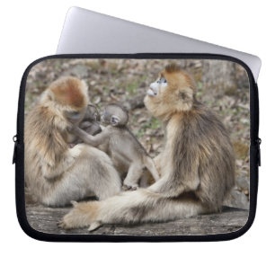 Protection Pour Ordinateur Portable Deux singes dorés femelles avec des nouveau-nés