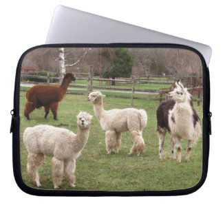 Protection Pour Ordinateur Portable Douille d'ordinateur portable de ~ de mélange de