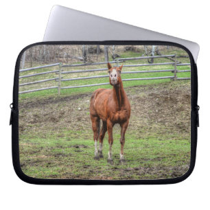 Protection Pour Ordinateur Portable Drôle Chestnut Stallion Horse Whinnnnnning Photo