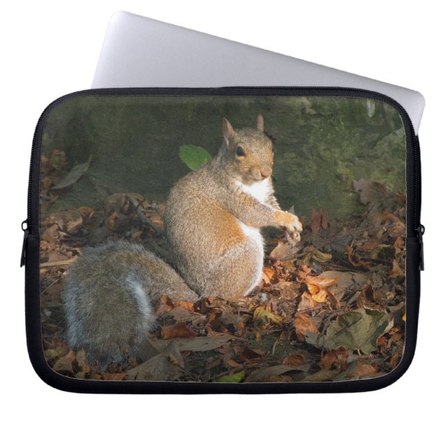 Protection Pour Ordinateur Portable Écureuil gris 03 (Devant)