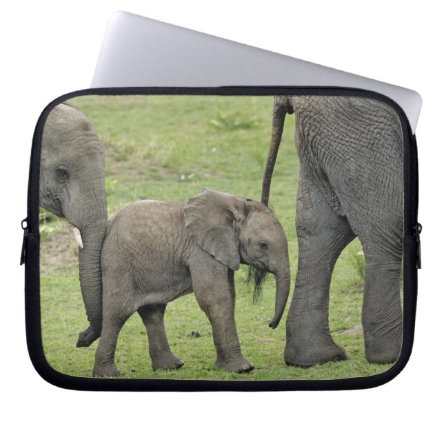Protection Pour Ordinateur Portable Eléphant africain avec bébé (Devant)