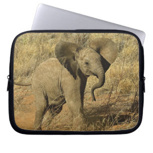 Protection Pour Ordinateur Portable Éléphant d'Afrique bébé, Loxodonta Africana,