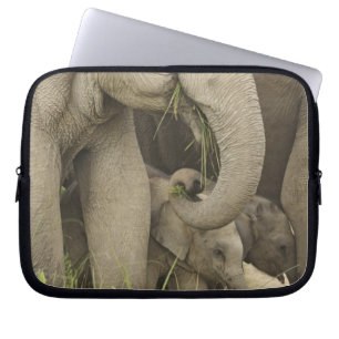 Protection Pour Ordinateur Portable Éléphant indien / asiatique et son petit, Corbett