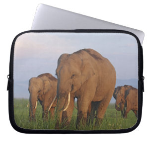 Protection Pour Ordinateur Portable Éléphants indiens dans la prairie