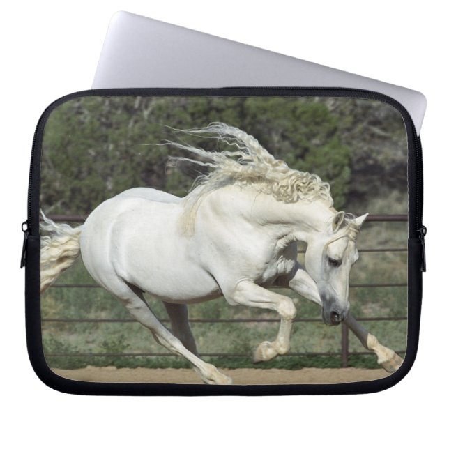 Protection Pour Ordinateur Portable Étalon andalou en course, PR (Devant)