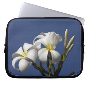 Protection Pour Ordinateur Portable États-Unis, Hawaï, Kauai, plumeria blanc.