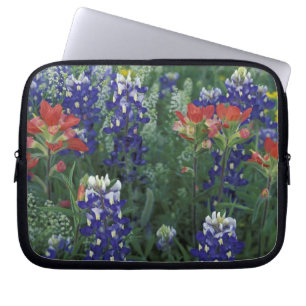 Protection Pour Ordinateur Portable États-Unis, Texas Hill Country. Bleuets et