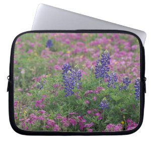 Protection Pour Ordinateur Portable États-Unis, Texas Hill Country. Bleuets parmi les