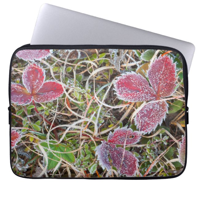 Protection Pour Ordinateur Portable Feuilles couvertes de givre, Canada (Devant)